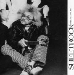 R. Stevie Moore : Sheetrock